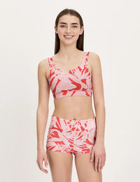 | Pink Hibiscus
